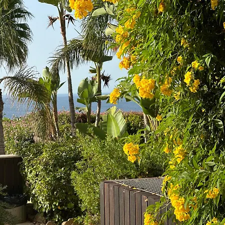 Vila Luz Aparthotel Praia Da Luz