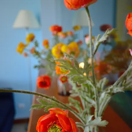 Aparthotel Vila Luz Aparthotel Luz