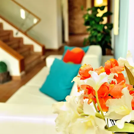 Aparthotel Vila Luz Luz